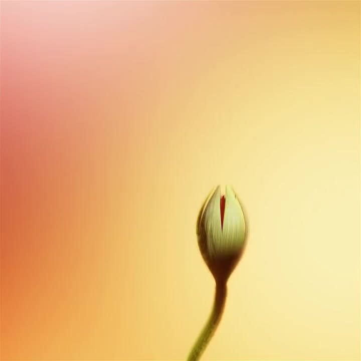 Fluid Matters — Fluid Matters