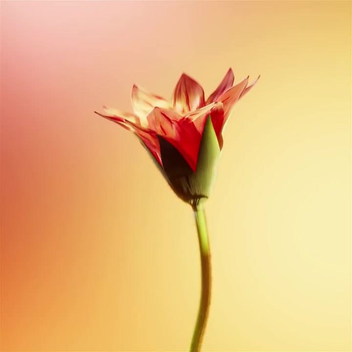 Fluid Matters — Fluid Matters