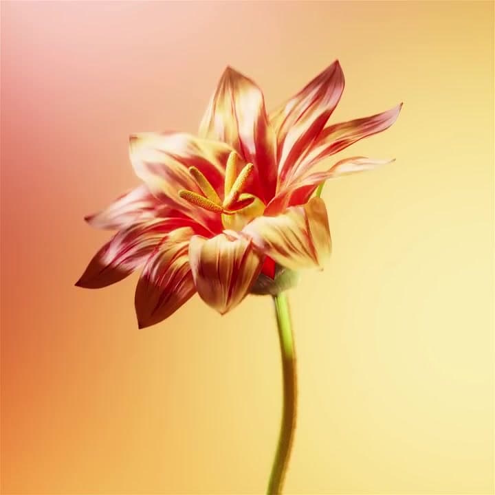 Fluid Matters — Fluid Matters